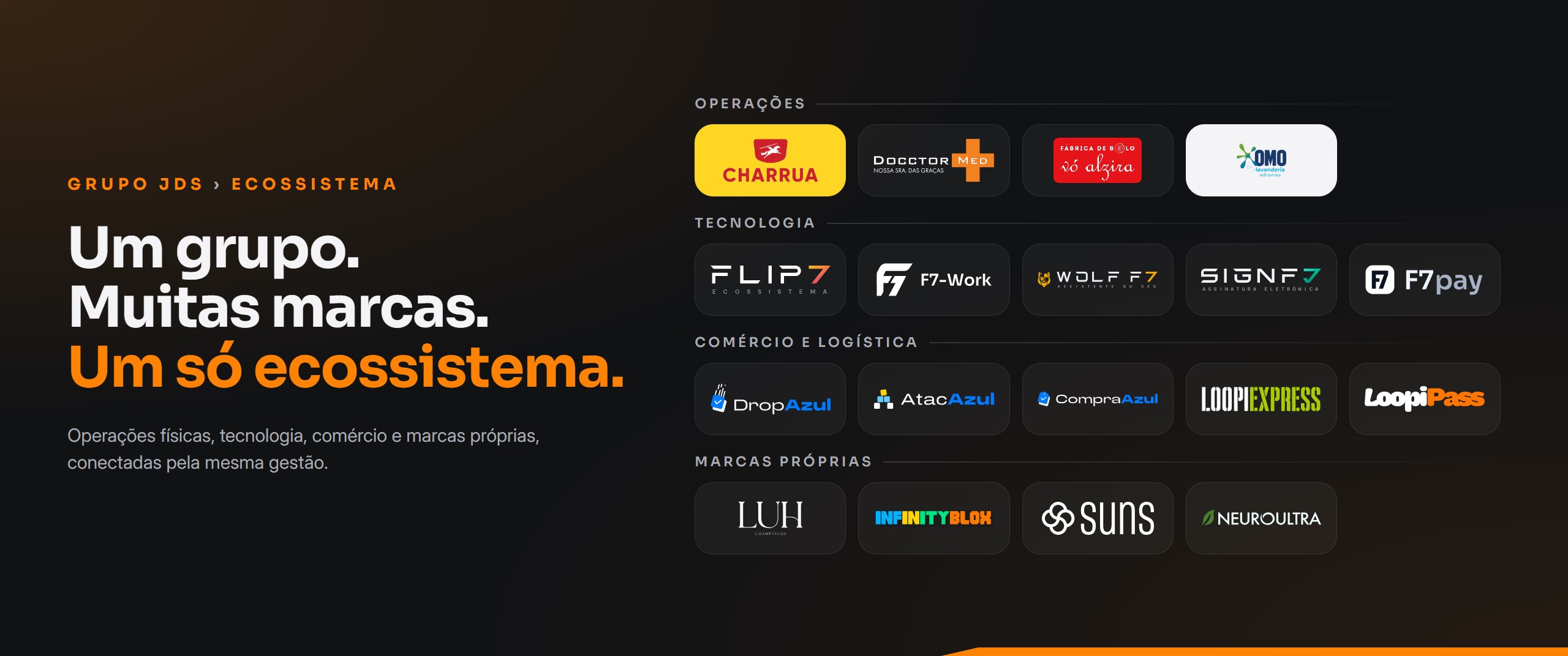 Grupo JDS › Ecossistema. Um grupo. Muitas marcas. Um só ecossistema. Operações: Postos Charrua, Docctor Med, Vó Alzira, OMO Lavanderia. Tecnologia: FLIP7, F7-Work, Wolf F7, SignF7, F7pay. Comércio e logística: DropAzul, AtacAzul, CompraAzul, LoopiExpress, LoopiPass. Marcas próprias: LUH, InfinityBlox, SUNS, NeuroUltra.